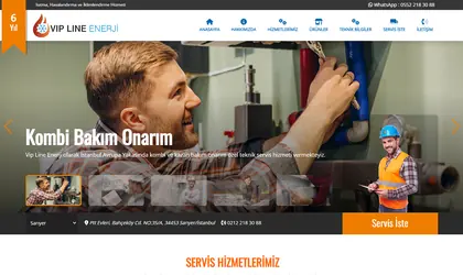 Preview of the Vipline website design